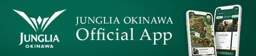 Official App Download