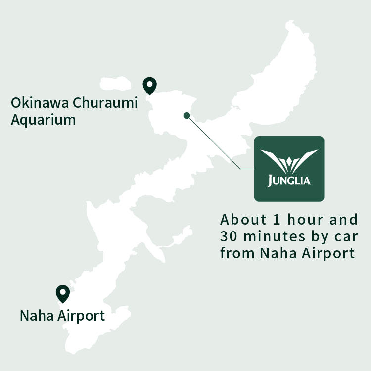 About 1 hour and 30 minutes by car from Naha Airport